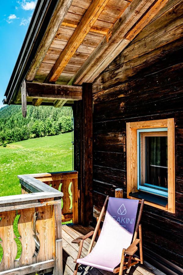 Peakini Farmhaus Villa Untertauern Kültér fotó