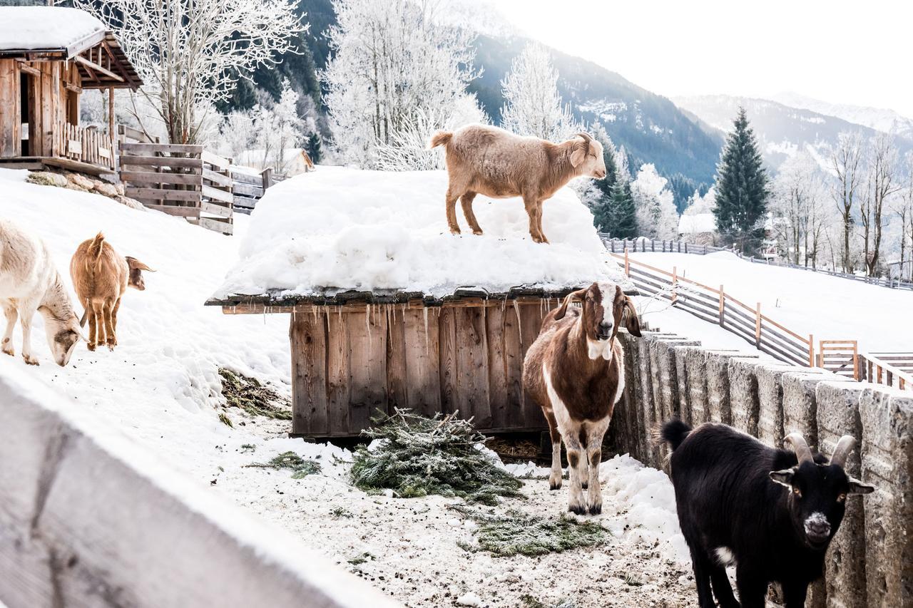 Peakini Farmhaus Villa Untertauern Kültér fotó