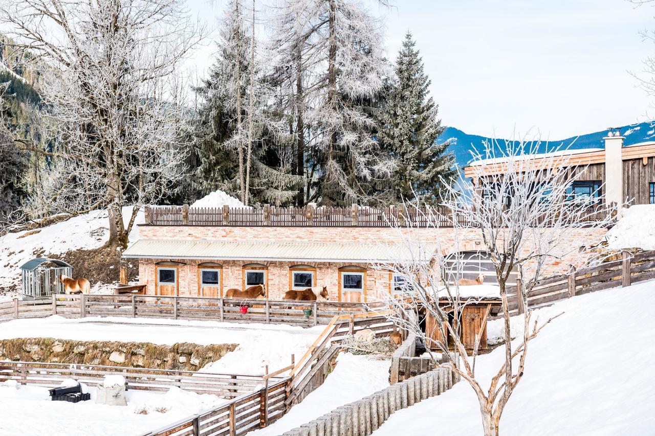 Peakini Farmhaus Villa Untertauern Kültér fotó